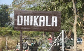 Dhikala Jim Corbett